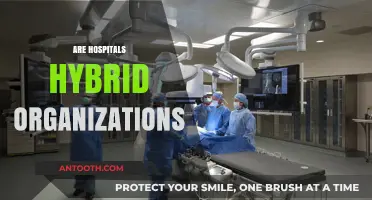 Are Hospitals Hybrid Organizations? Exploring Dual Roles in Healthcare