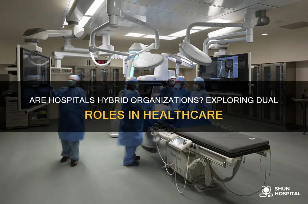 are hospitals hybrid organizations