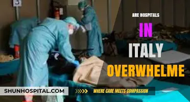 Italy's Healthcare Crisis: Are Hospitals Overwhelmed Amid Rising Demand?