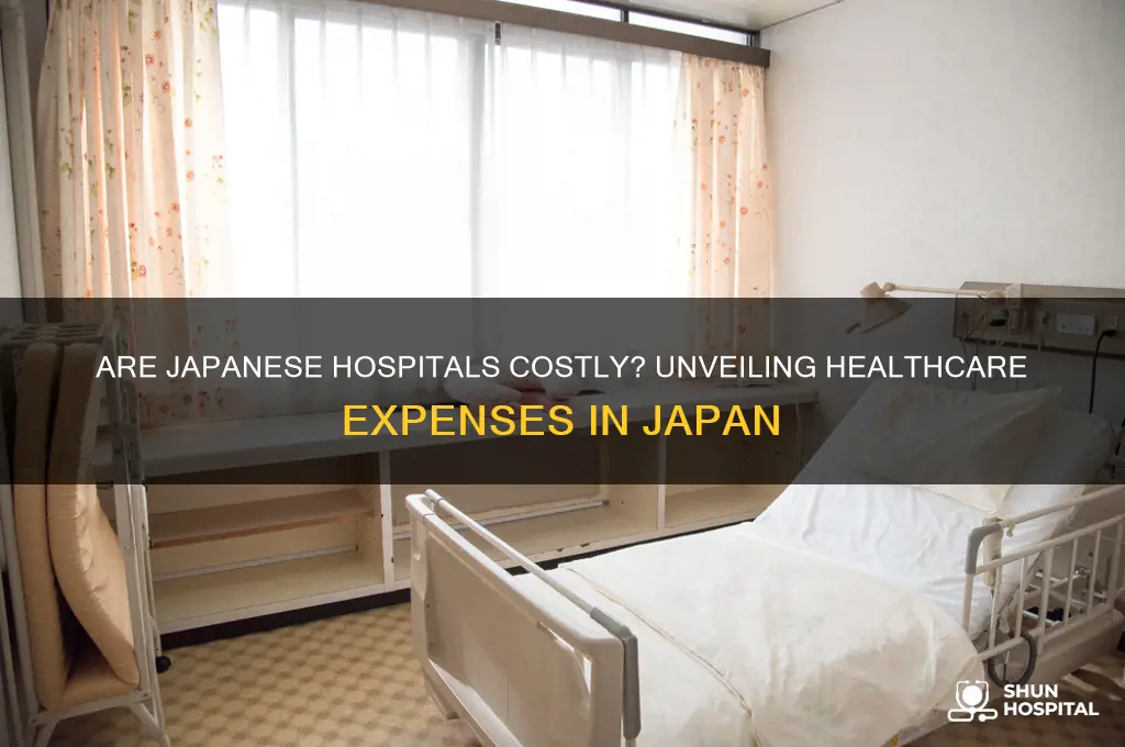are hospitals in japan expensive