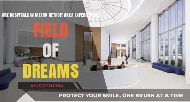 Detroit Hospitals: Are They Building It and Hoping They Will Come?