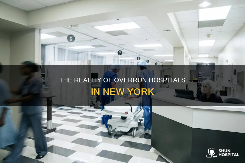 are hospitals in new york really overrun