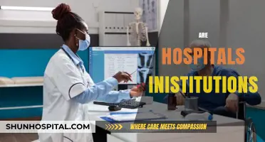 Are Hospitals Institutions? Exploring Their Role in Healthcare Systems