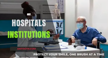 Are Hospitals Institutions? Exploring Their Role in Healthcare Systems