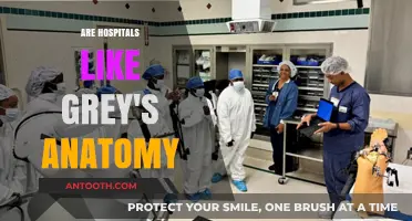 Behind the Scenes: The Realities of Hospital Life vs. Grey's Anatomy