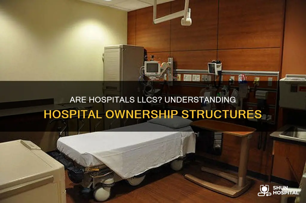 are hospitals llcs