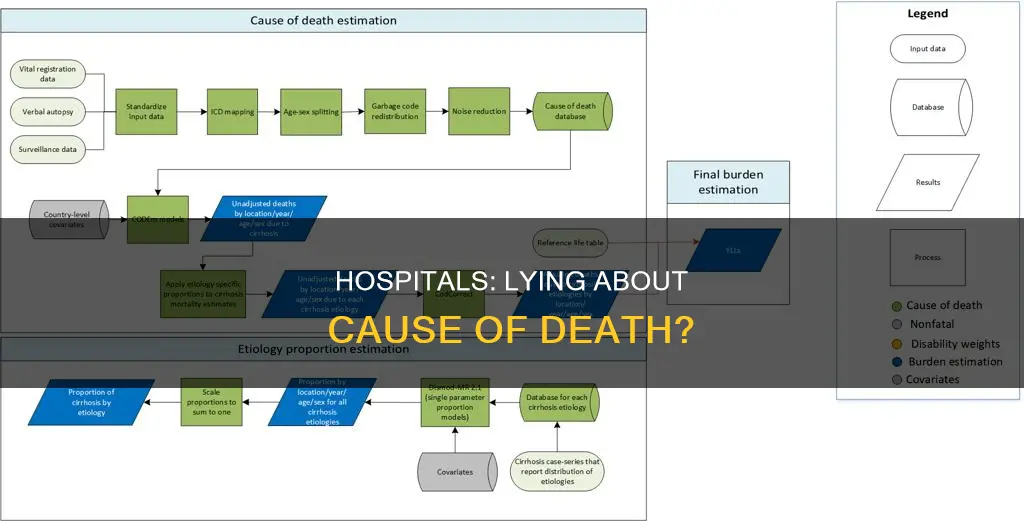 are hospitals lying about cause of death