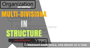Exploring the Multi-Divisional Nature of Modern Hospitals