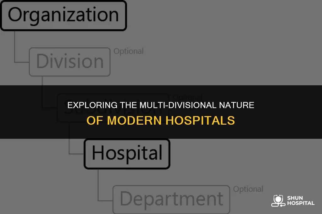 are hospitals multi-divisional in structure