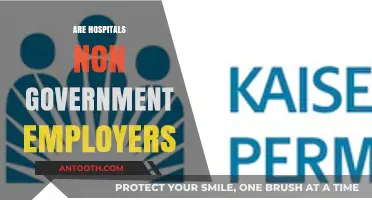 Are Hospitals Non-Government Employers? Exploring Ownership and Employment Dynamics