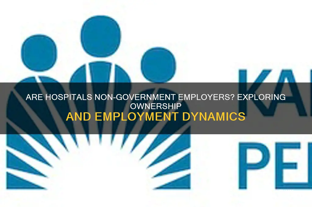 are hospitals non government employers