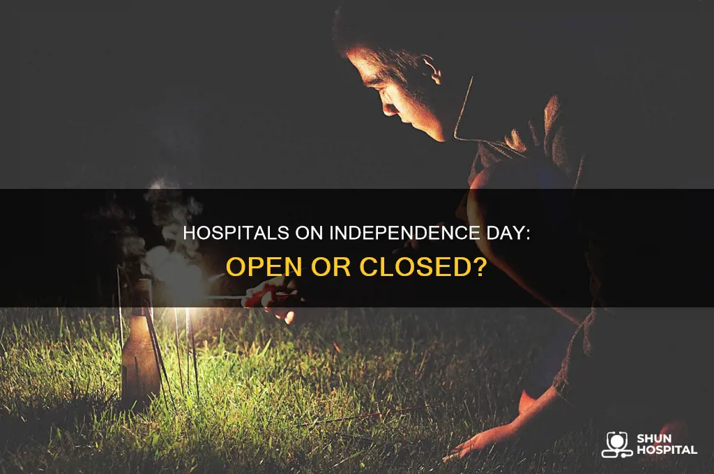 are hospitals open on 4th of july