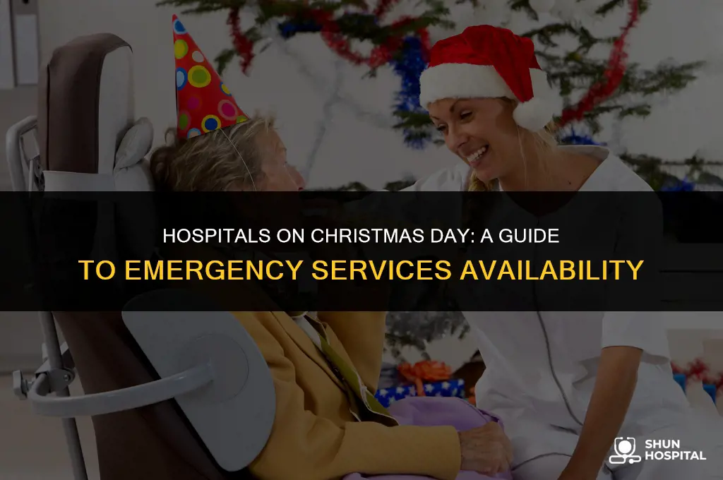 are hospitals open on christmas day