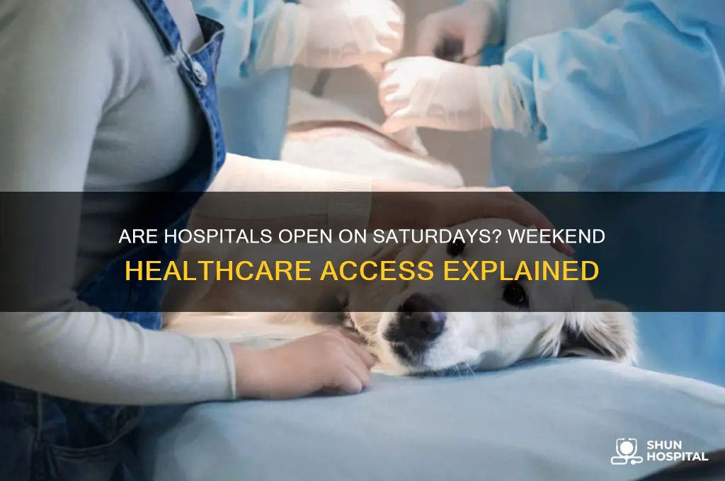 are hospitals open on saturdays
