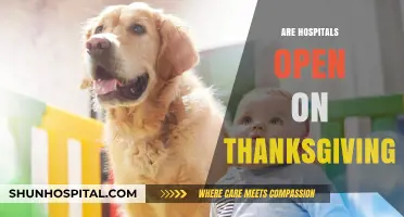 Are Hospitals Open on Thanksgiving? Essential Holiday Healthcare Services Explained