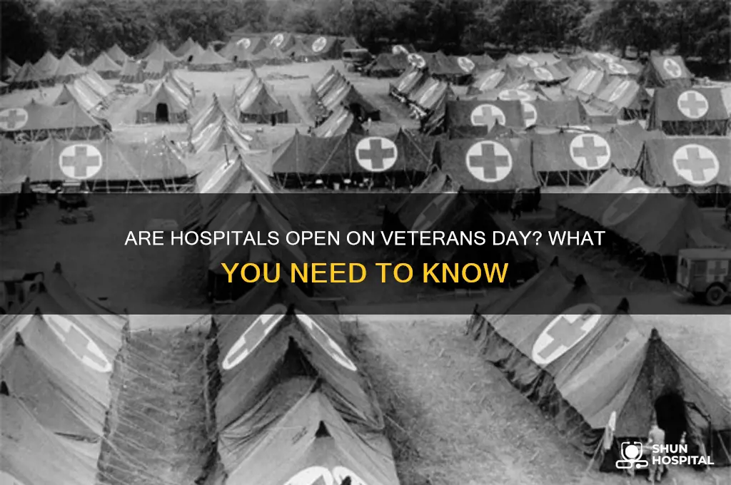 are hospitals open veterans day