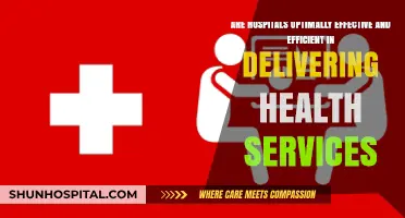 Evaluating Hospital Efficiency: Are Health Services Truly Optimized for Patients?