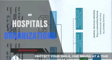 Are Hospitals Organizations? Exploring Their Structure and Functionality