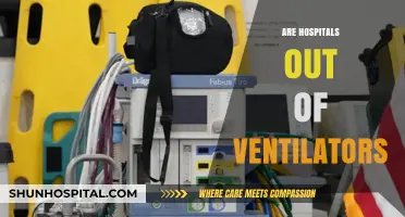 Are Hospitals Running Out of Ventilators? A Critical Analysis