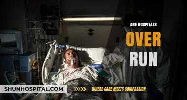 Are Hospitals Overrun? Examining Healthcare Capacity and Patient Care Challenges