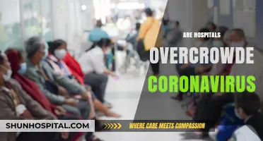 Overcrowded Hospitals: The Impact of Coronavirus on Healthcare Systems