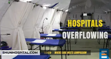 Are Hospitals Overflowing? Analyzing Healthcare Capacity Amid Rising Demand