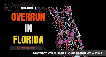 Florida Hospitals Overwhelmed: Are They Overrun by Patient Surge?