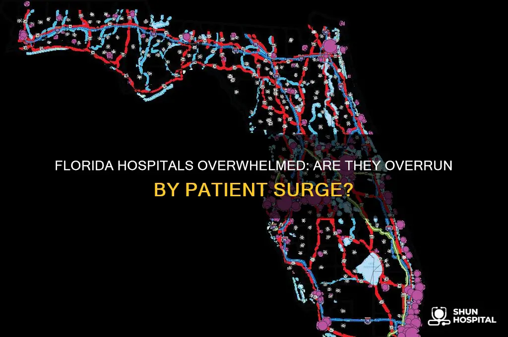 are hospitals overrun in florida