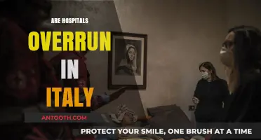 Italy's Hospitals Overwhelmed: Crisis, Challenges, and Community Response