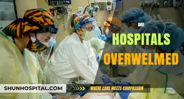 Are Hospitals Overwhelmed? Analyzing Healthcare Capacity and Patient Care Challenges
