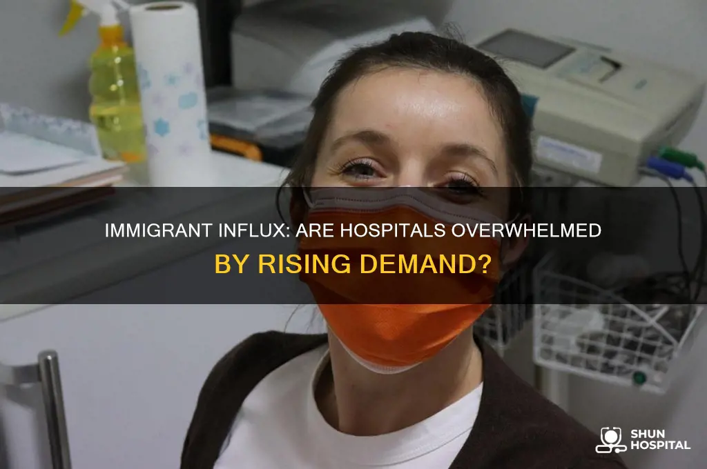 are hospitals overwhelmed by immigrants