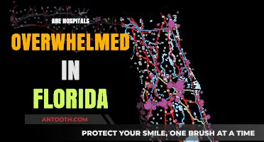 Florida Hospitals Under Strain: Are They Overwhelmed Amid Rising Cases?