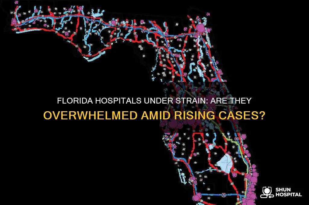 are hospitals overwhelmed in florida