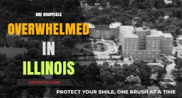 Illinois Hospitals Strained: Are They Overwhelmed by Patient Surge?