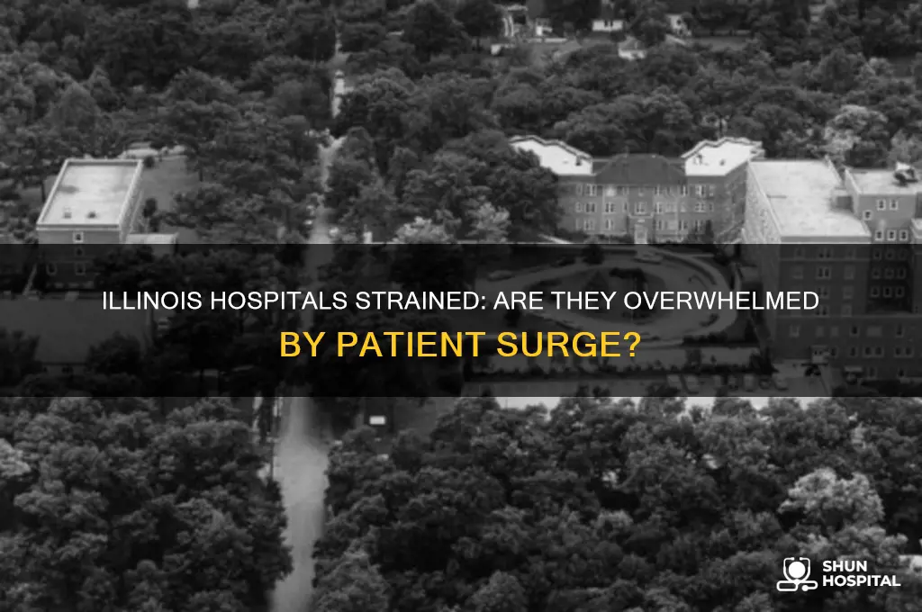 are hospitals overwhelmed in illinois