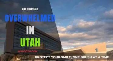 Utah Hospitals Under Strain: Are They Overwhelmed?