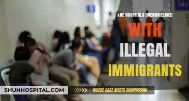 Are Hospitals Overwhelmed with Illegal Immigrants?