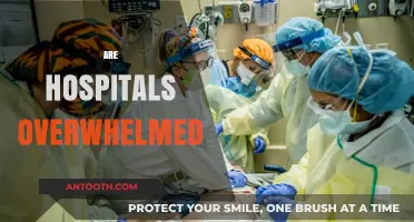 Are Hospitals Overwhelmed? Analyzing Healthcare Capacity and Patient Care Challenges