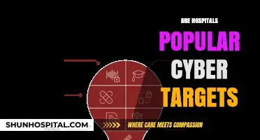 Why Hospitals Are Prime Targets for Cyberattacks: Risks and Realities