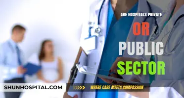 Exploring the Sector: Are Hospitals Private or Public?