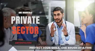 Are Hospitals Private Sector? Exploring Ownership and Healthcare Models
