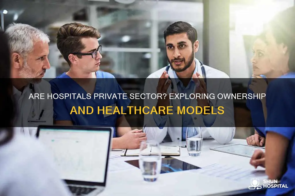 are hospitals private sector