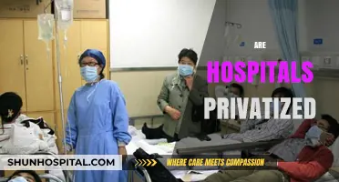 Are Hospitals Privatized? Exploring the Shift in Healthcare Ownership