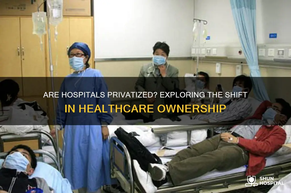 are hospitals privatized