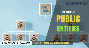 Are Hospitals Public Entities? Exploring Ownership and Accountability