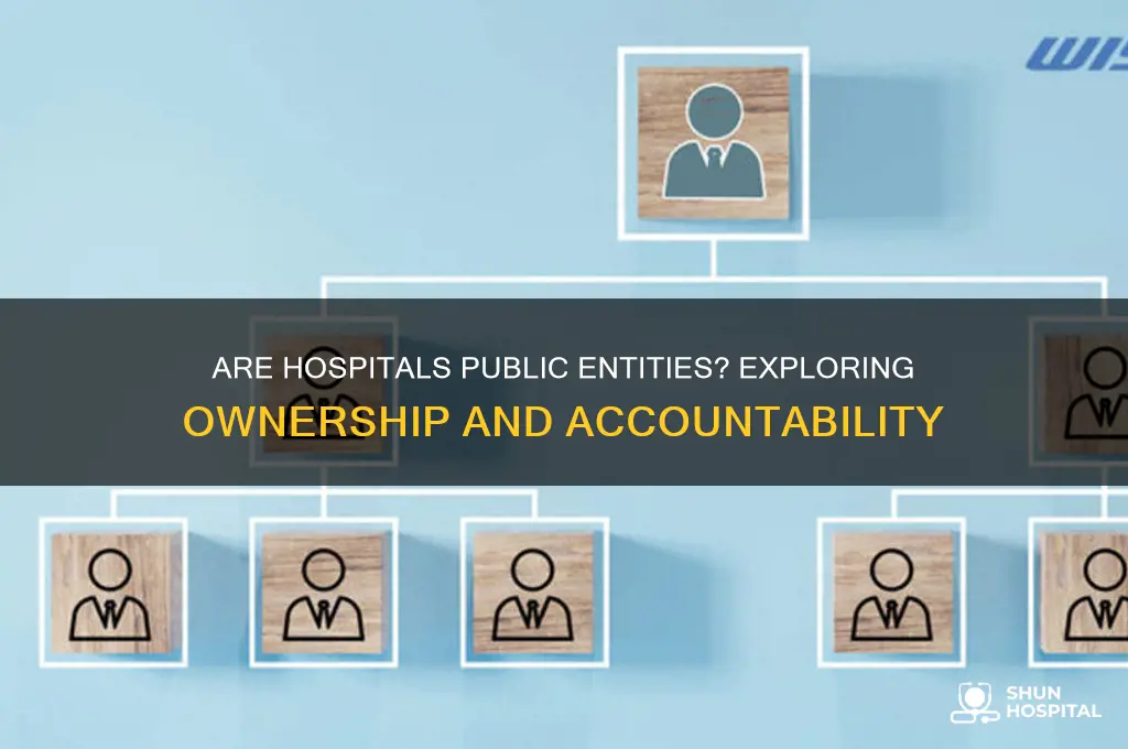 are hospitals public entities