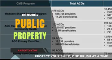 Are Hospitals Public Property? Exploring Ownership and Access Rights