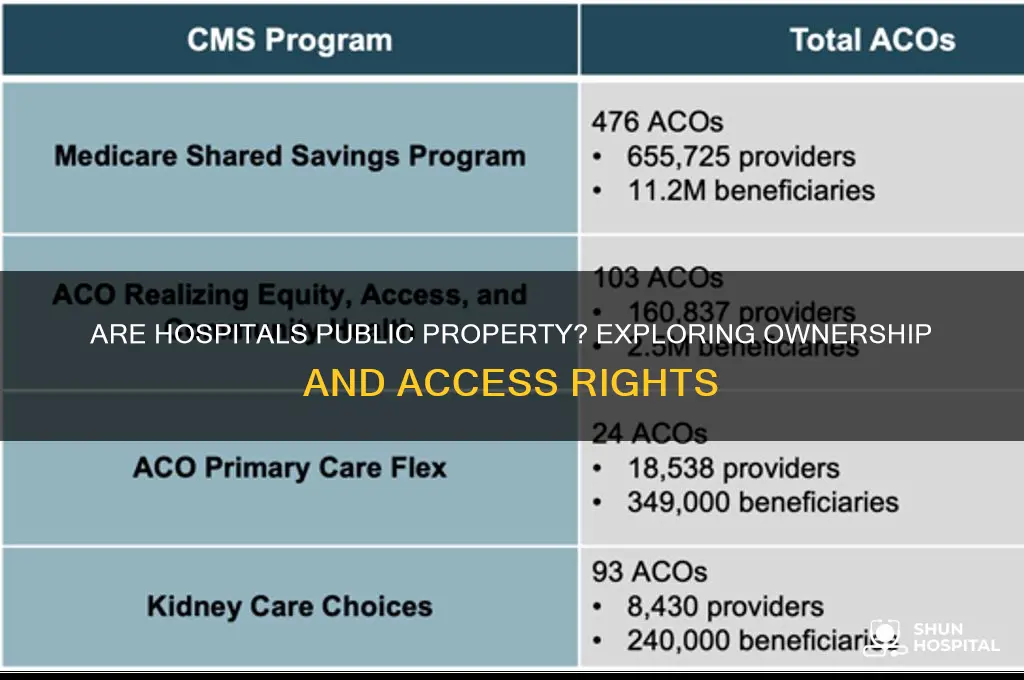 are hospitals public property