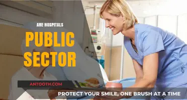 Are Hospitals Public Sector? Understanding Ownership and Healthcare Systems