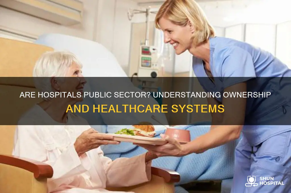 are hospitals public sector